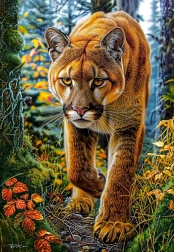 Puzzle Castorland Puma nella Foresta 1500 Pezzi