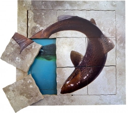 Just Jigsaws Salmone e il suo ciclo vitale - puzzle stratificato in legno