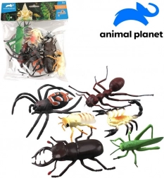 Animali Insetti 6 pz 10 cm da Animal Planet
