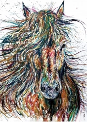 Puzzle ANATOLIAN Vento 500 pezzi