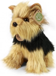 Cane di peluche Yorkshire Terrier 25 cm eco-friendly