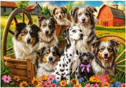 Puzzle Castorland cani felici in campagna 1000 pezzi