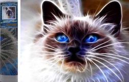 Pittura diamantata Magia felina 30 × 40 cm