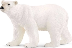 Orso polare