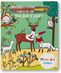 Dipinto con acqua: Chi vive nel bosco?