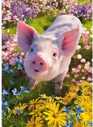 Puzzle Cherry Pazzi Mi vuoi bene? 500 pezzi