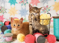 Puzzle Morbidi Gomitoli 1000 Pezzi