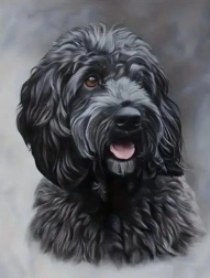 Pittura diamantata cockapoo nero 30 × 40 cm