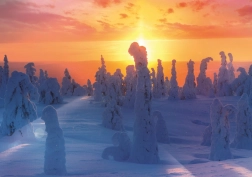 Puzzle Natura finlandese 1000 pezzi