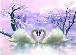 pittura diamantata Amore di cigni 30 × 40 cm