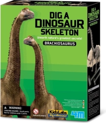 Set per scavi - Brachiosaurus