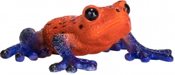Figura realistica della rana Dendrobates minuta