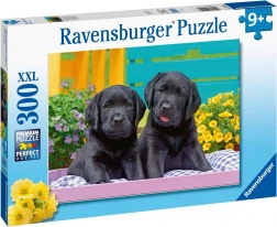 Puzzle Ravensburger Puppy Life 300 pezzi