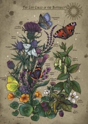 Puzzle ciclo di vita della farfalla 1000 pezzi