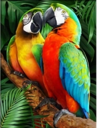 Mosaico di diamanti (diamond painting) ara colorate 30 × 40 cm