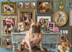 Puzzle Bulldog Francese 500 pezzi Cobble Hill