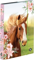 Scatola per quaderni A5 con motivo cavalli