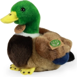 Anatra di peluche Rappa ECO-FRIENDLY 20 cm