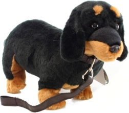 Bassotto di peluche con guinzaglio 36 cm