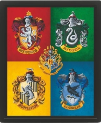 Quadro 3D Harry Potter colorato