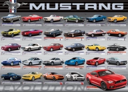 Puzzle evoluzione FORD MUSTANG 1000 pezzi