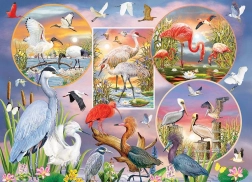 Puzzle affascinanti uccelli acquatici 1000 pezzi