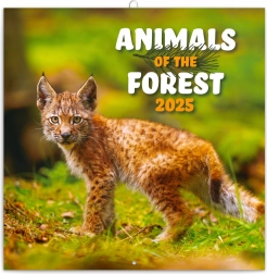 Calendario con note Animaletti del bosco 2025, 30 × 30 cm