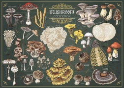 Puzzle TREFL Premium Plus Finders Keepers: funghi 500 pezzi