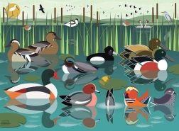 Puzzle uccelli acquatici 500 pezzi