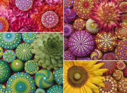 Ravensburger puzzle Mandala fiori 500 pezzi