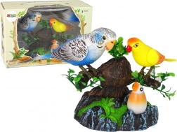 Pappagalli canterini e mobili Albero colorato