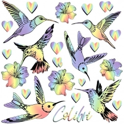 Immagini termoadesive colibrì arcobaleno – foglio piccolo 15 × 21 cm