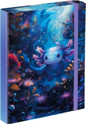 Cartelle per quaderni scolastici A5 con motivo Axolotl