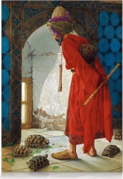 Puzzle STAR addestratore di tartarughe – 1000 pezzi