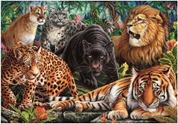 Puzzle Gatti Selvatici 500 pezzi