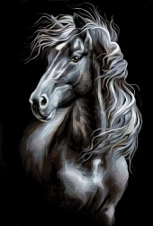 Pittura diamantata cavallo in bianco e nero 30 × 40 cm