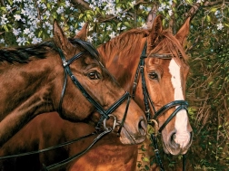 Puzzle Amici per sempre XL 275 pezzi di Cobble Hill