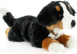 Cane da montagna bernese di peluche 65 cm