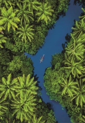 Puzzle con vista tropicale dall’alto