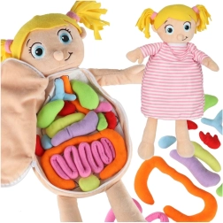 Bambola anatomica in peluche Montessori per bambini