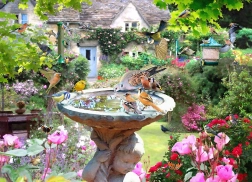 Puzzle Uccelli estivi 1000 pezzi