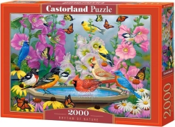 Puzzle 2000 pezzi Rhythm of Nature