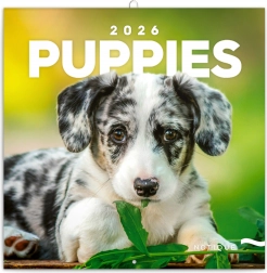 Calendario Note Cuccioli 2026