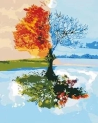 Norimpex pittura con numeri Albero quattro stagioni 40 × 50 cm