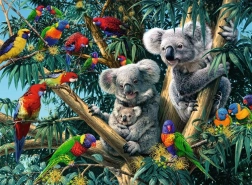 Koala sull'albero 500 pezzi