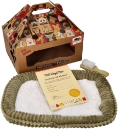 Cucciolo Shiba che respira da adottare