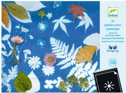 Djeco set di carte fotosensibili