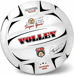 Pallone da pallavolo Champions 21 cm