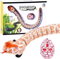Serpente radiocomandato con controllo IR per bambini – Arancione