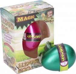 Uovo con lucertola crescente